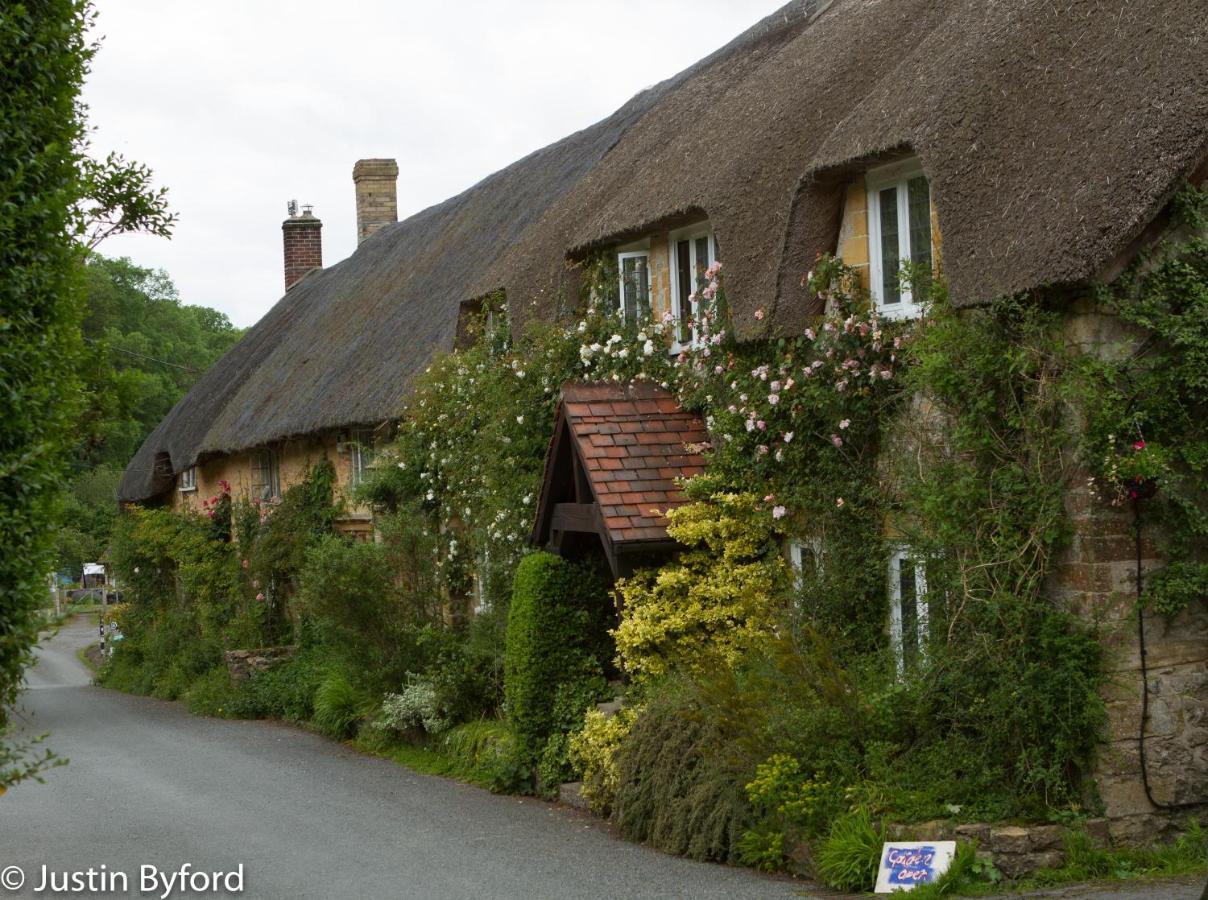 Lower Farm Bed & Breakfast Beaminster