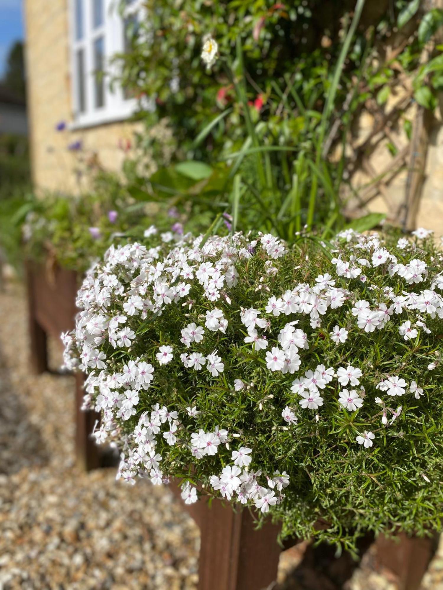 Lower Farm Bed & Breakfast