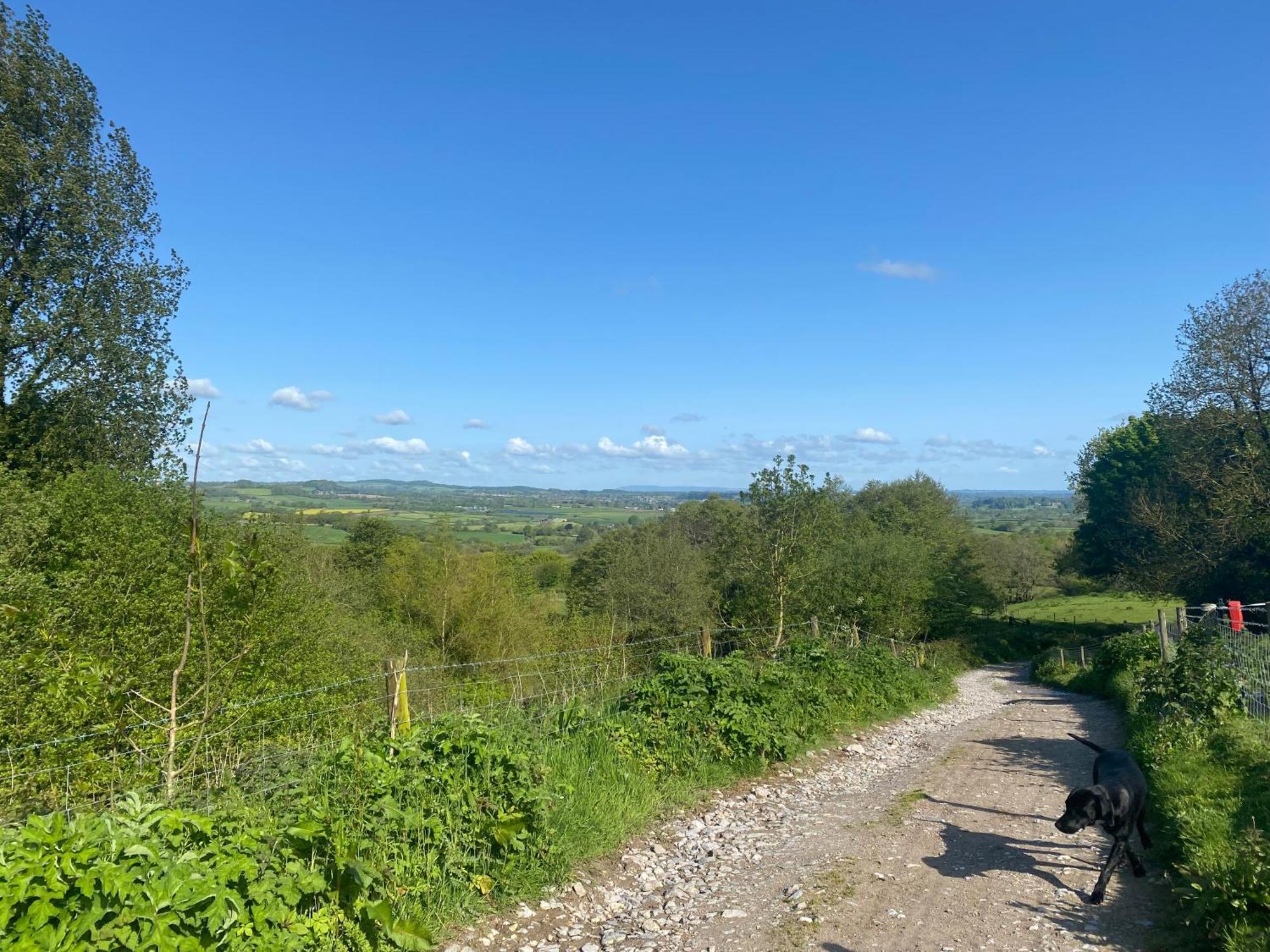 Lower Farm Bed & Breakfast Beaminster