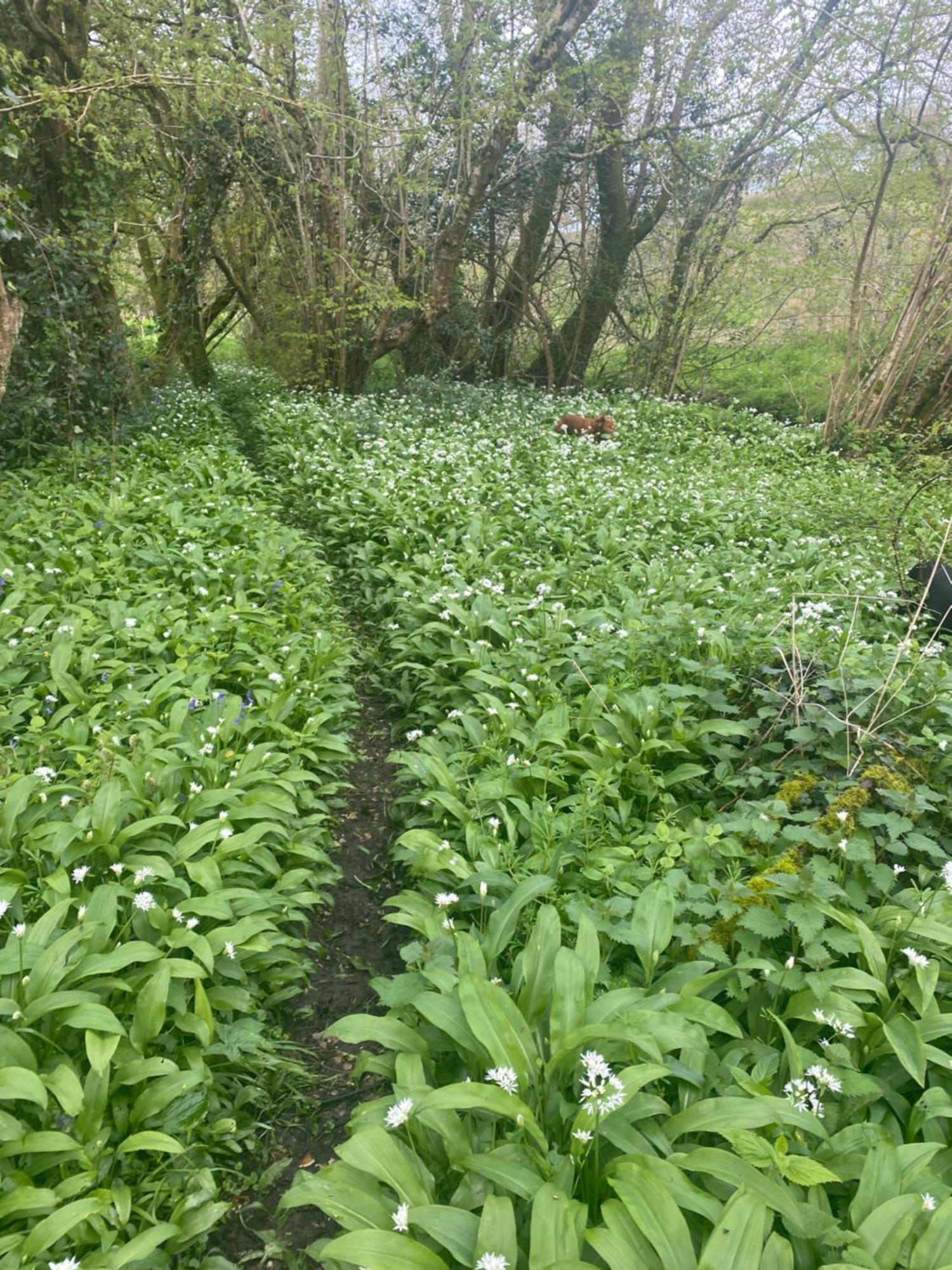 Lower Farm