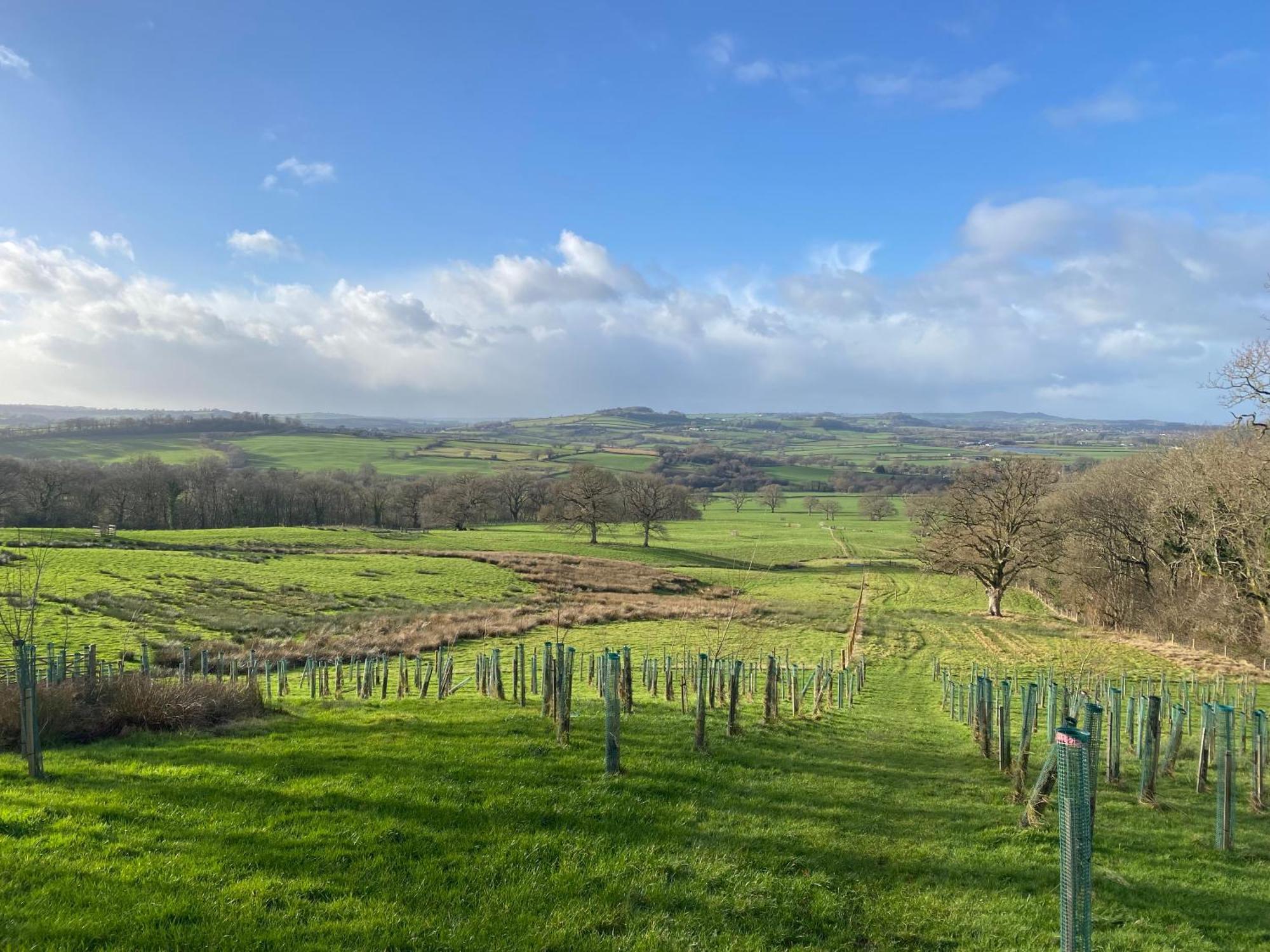 Bed & Breakfast Lower Farm *