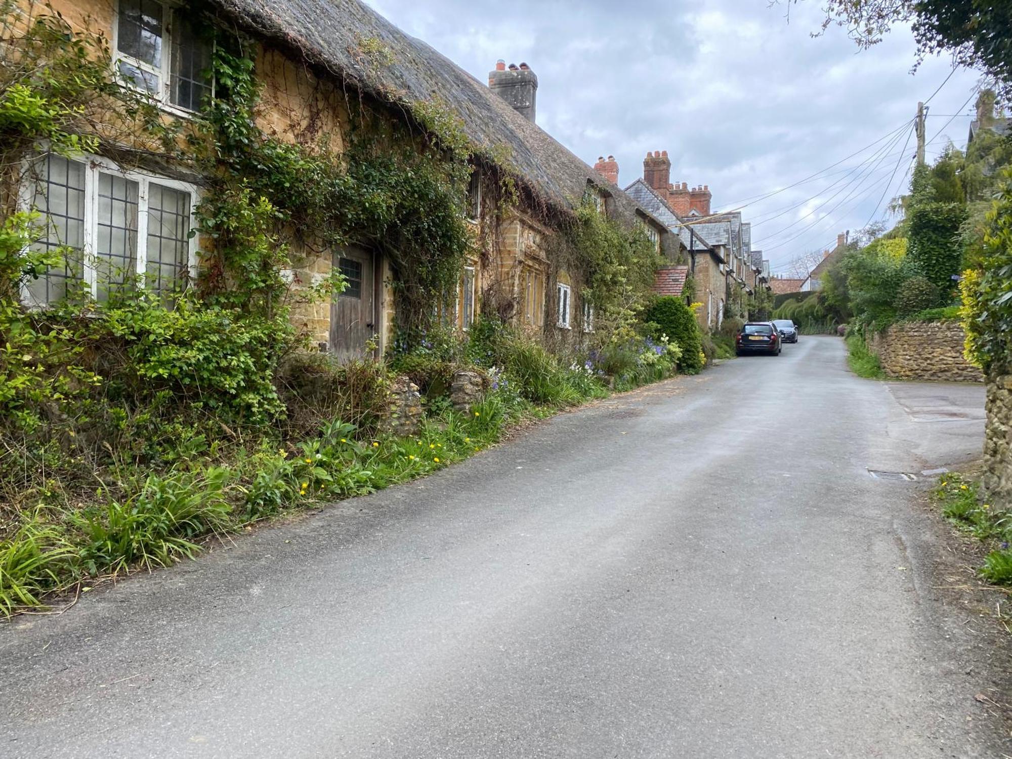 Lower Farm * Beaminster